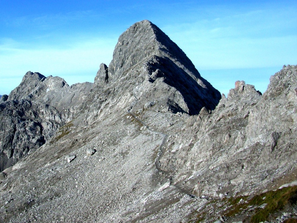 Bockkarkopf am Heilbronner Weg