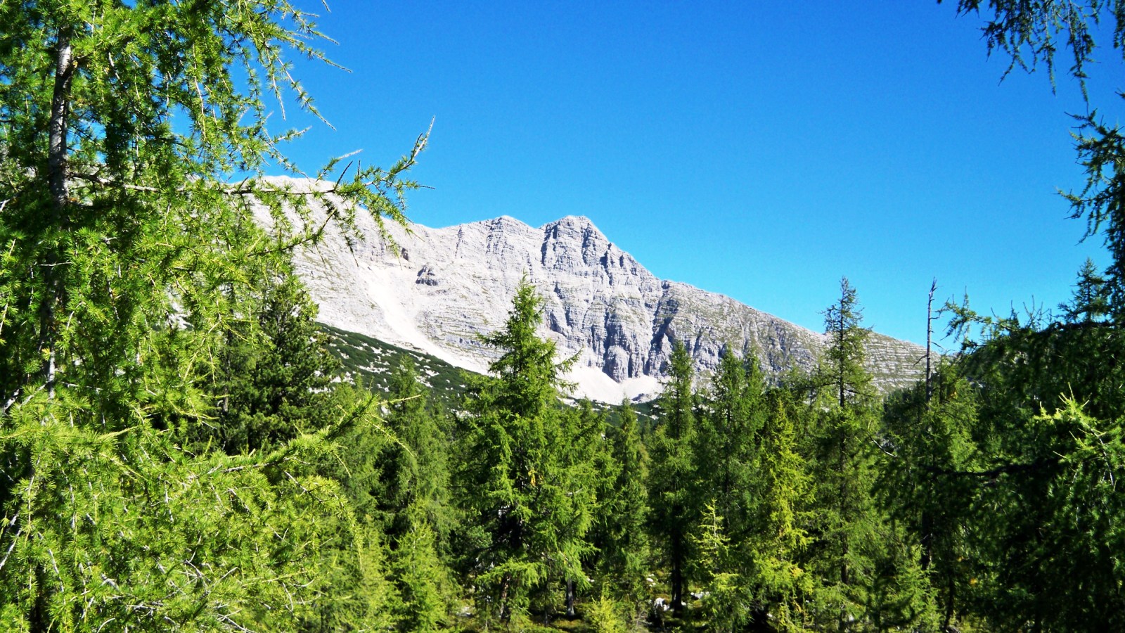 Rckblick zum Warscheneck